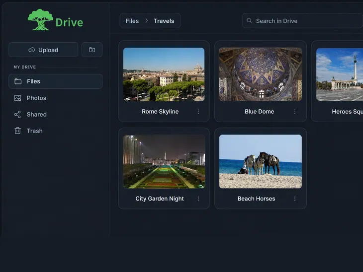 Olivo Drive interface